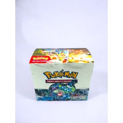 Display Pokemon Couronne...