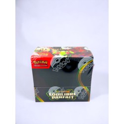 Display Pokemon Equilibre...